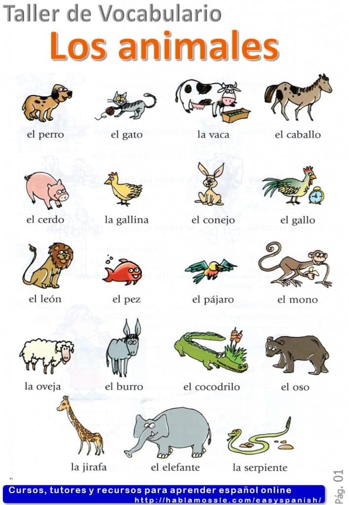 Animals In Spanish Los Animales Spanish Vocabulary A1