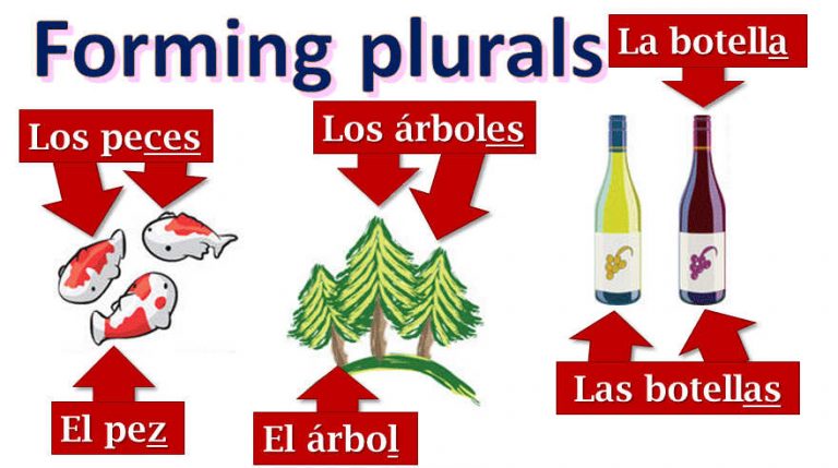 plural homework in spanish
