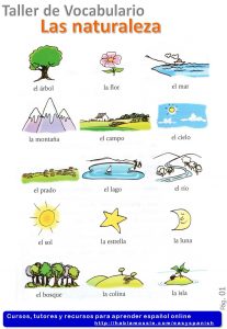 Nature in Spanish. Learn vocabulary with quizzes