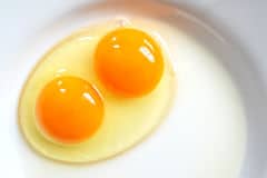 Un huevo con un par yemas