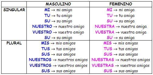 Cómo usar los posesivos en español