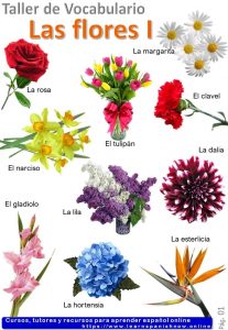 El nombre de la flores en español_Infografía
