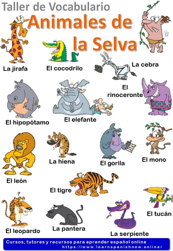 Jungle animals in Spanish - Los animales de la selva 🦒